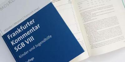 Infosystem Jugendhilfe in Deutschland - 