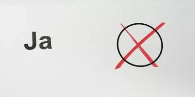 Subjektive Bedarfe von Kindern und Jugendlichen - 